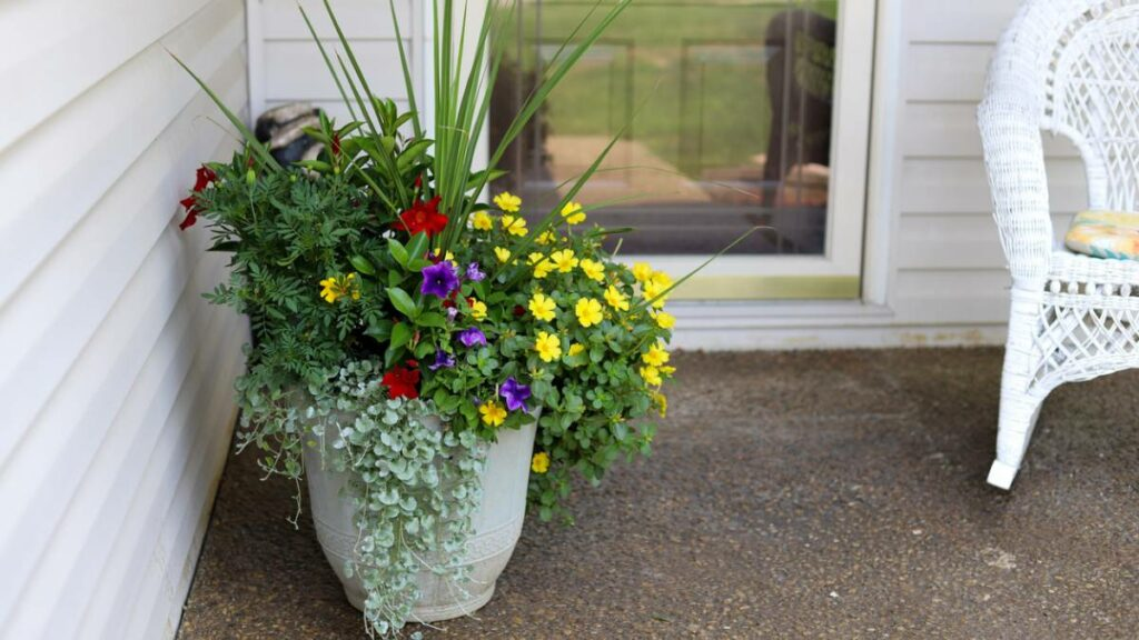 a flower pot by the verandah corner