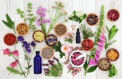 Naturopath Cost Guide Oneflare