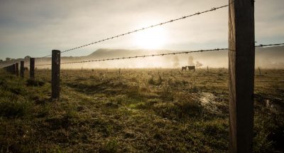 Rural Fencing Cost Guide